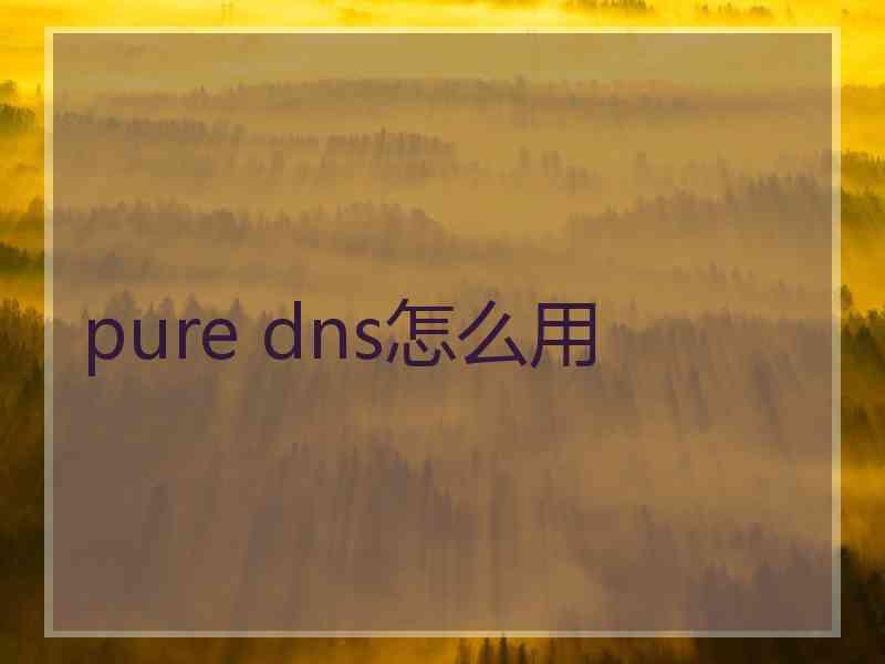 pure dns怎么用