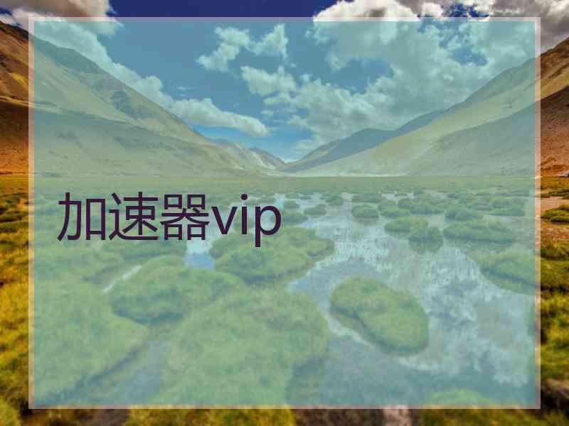 加速器vip