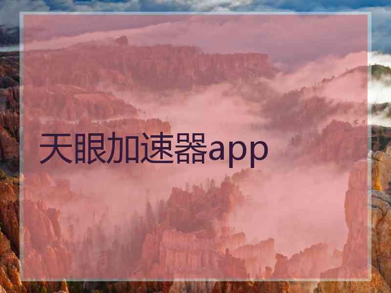 天眼加速器app