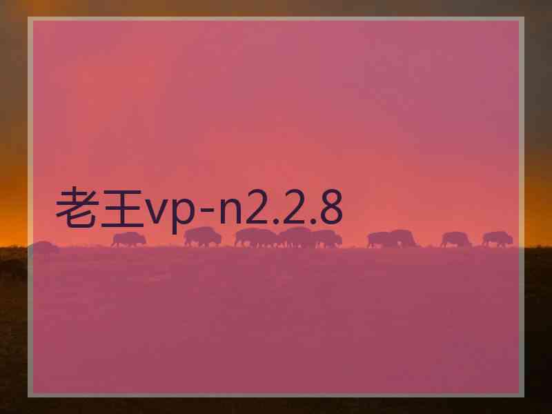 老王vp-n2.2.8