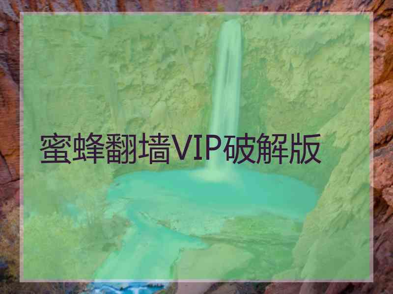 蜜蜂翻墙VIP破解版