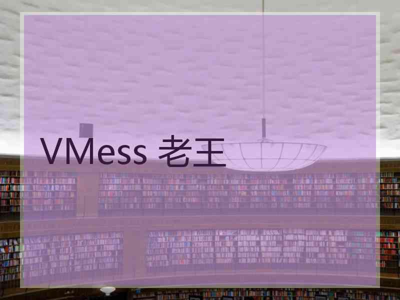 VMess 老王