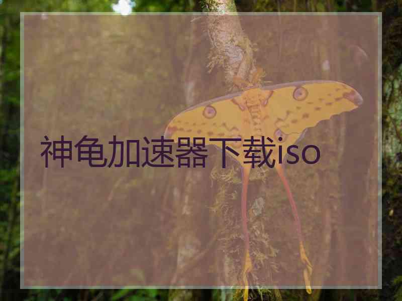 神龟加速器下载iso