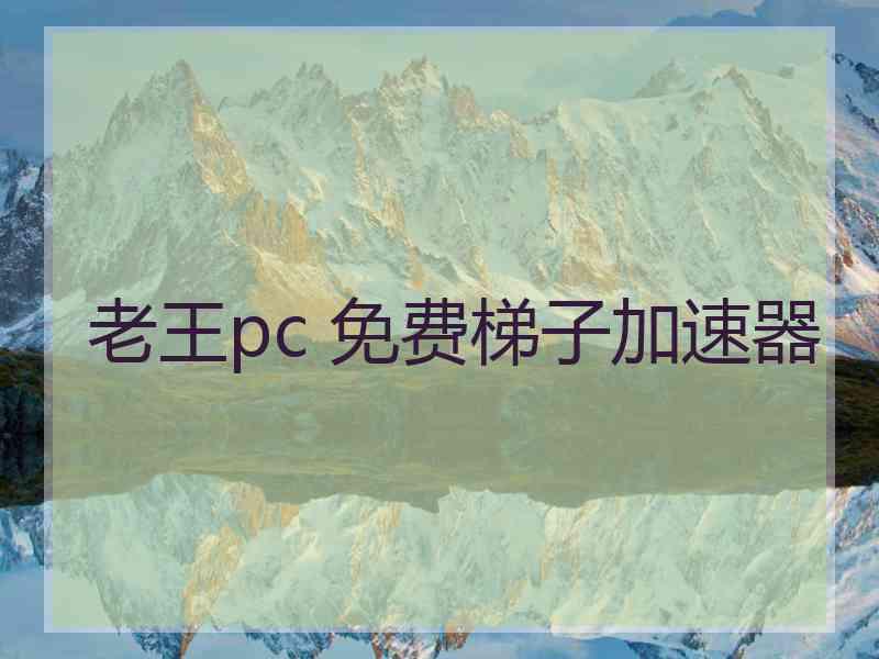 老王pc 免费梯子加速器