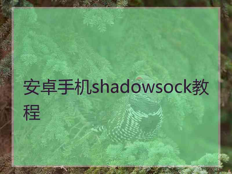 安卓手机shadowsock教程