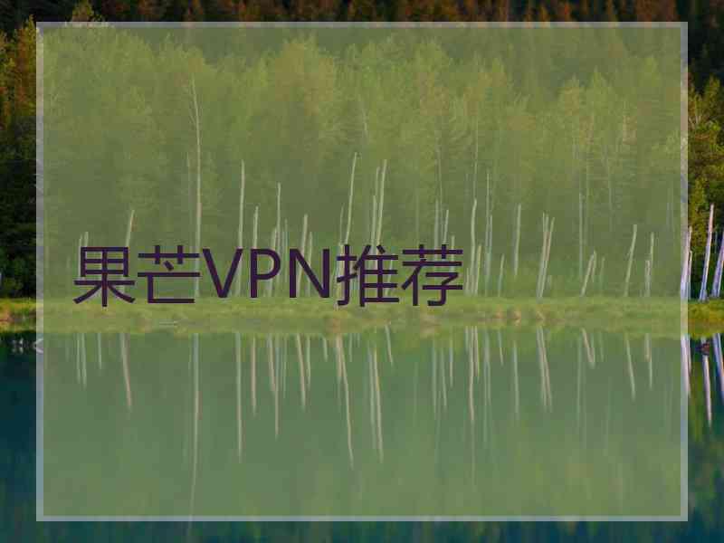 果芒VPN推荐