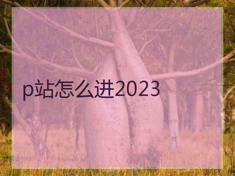 p站怎么进2023