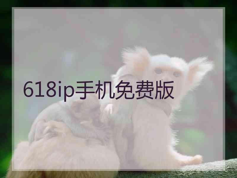 618ip手机免费版