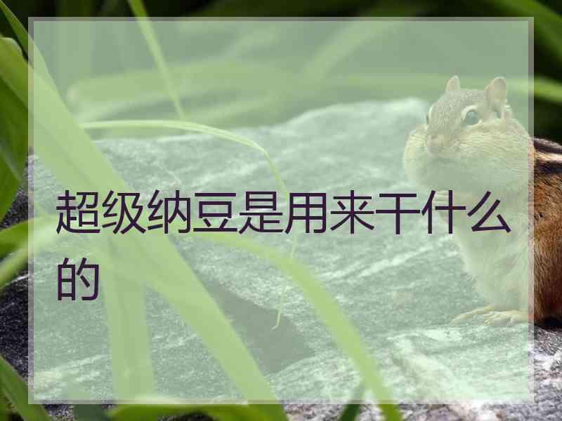 超级纳豆是用来干什么的