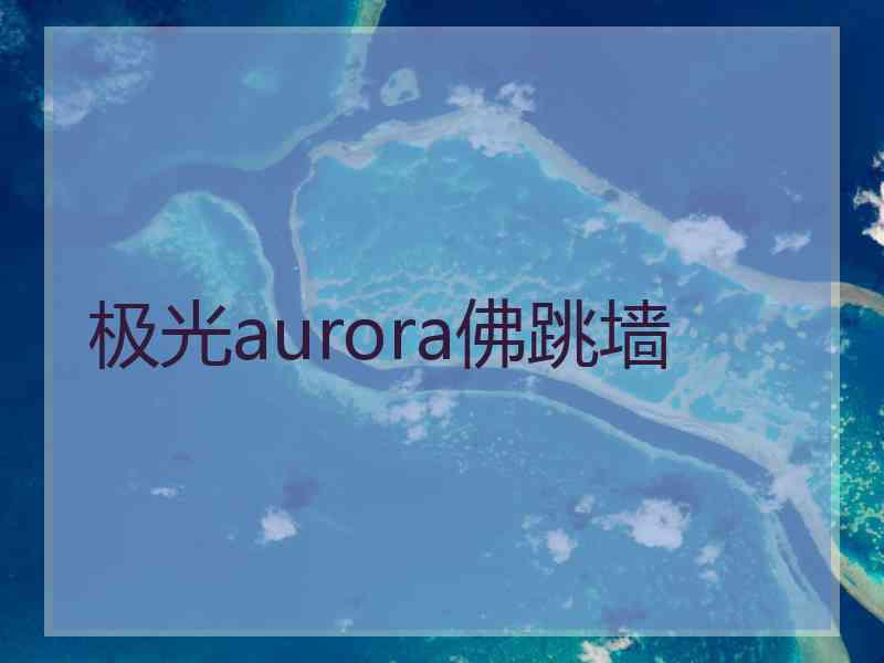 极光aurora佛跳墙