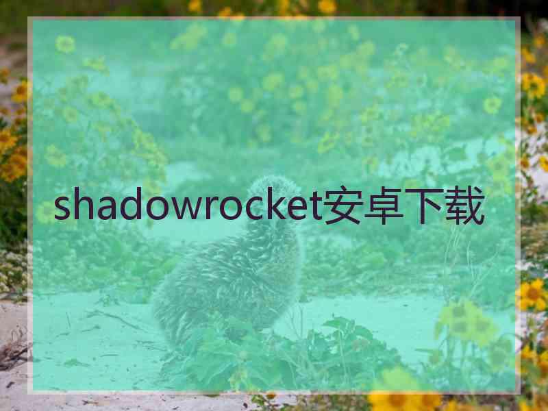 shadowrocket安卓下载