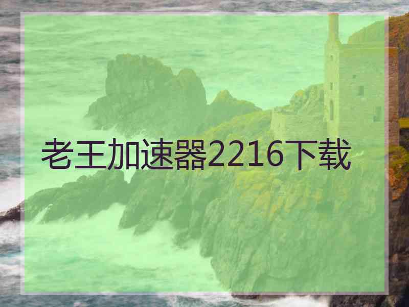 老王加速器2216下载