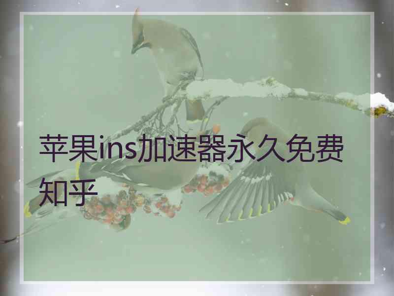 苹果ins加速器永久免费 知乎