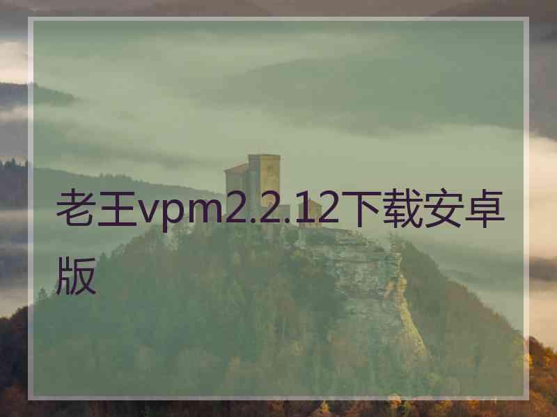 老王vpm2.2.12下载安卓版