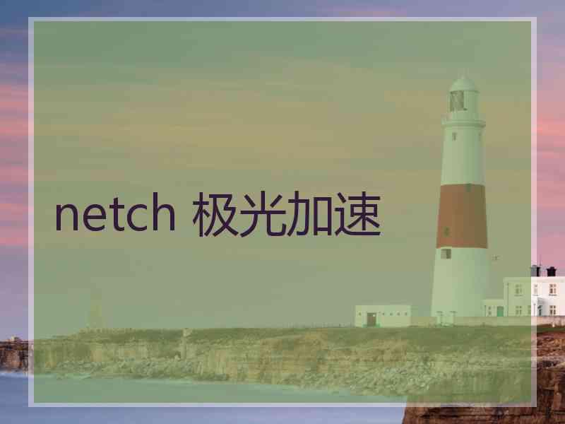 netch 极光加速