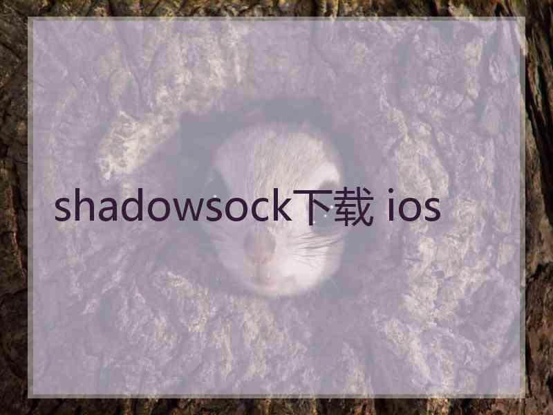 shadowsock下载 ios