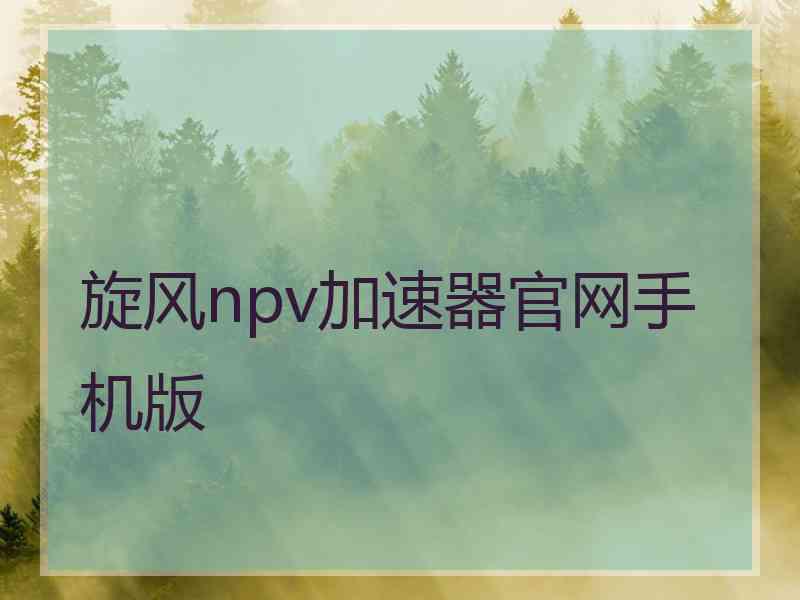 旋风npv加速器官网手机版