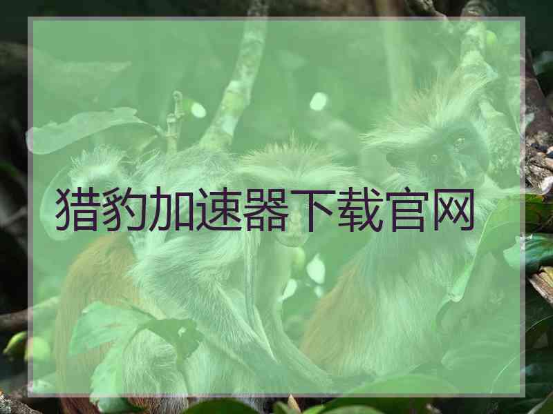 猎豹加速器下载官网