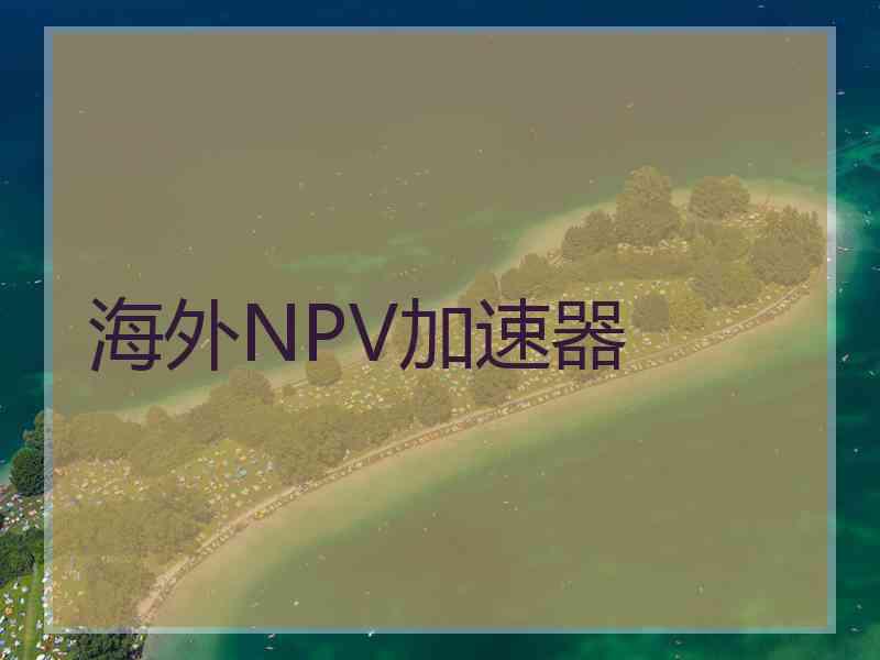 海外NPV加速器