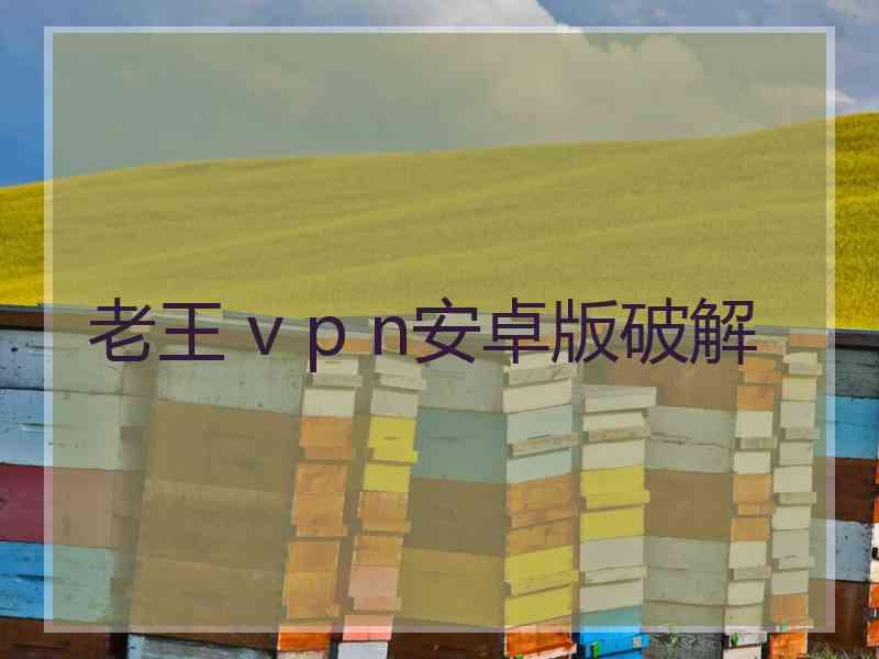 老王 v p n安卓版破解