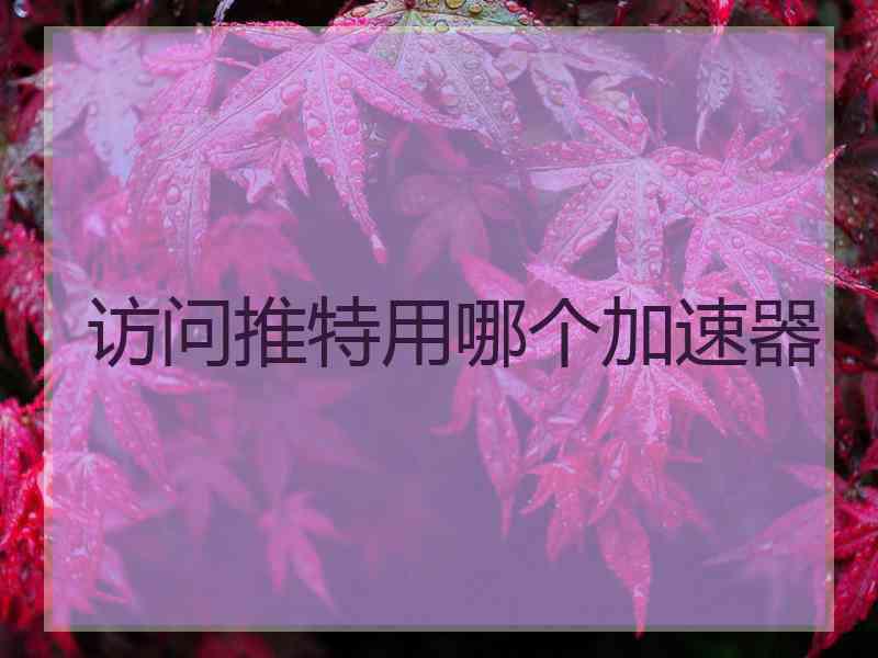 访问推特用哪个加速器