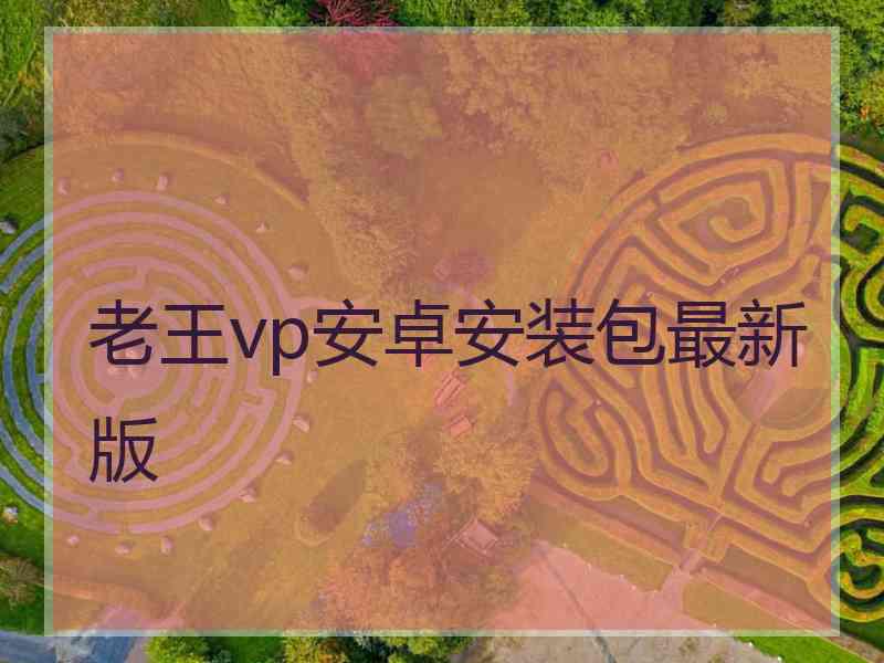 老王vp安卓安装包最新版