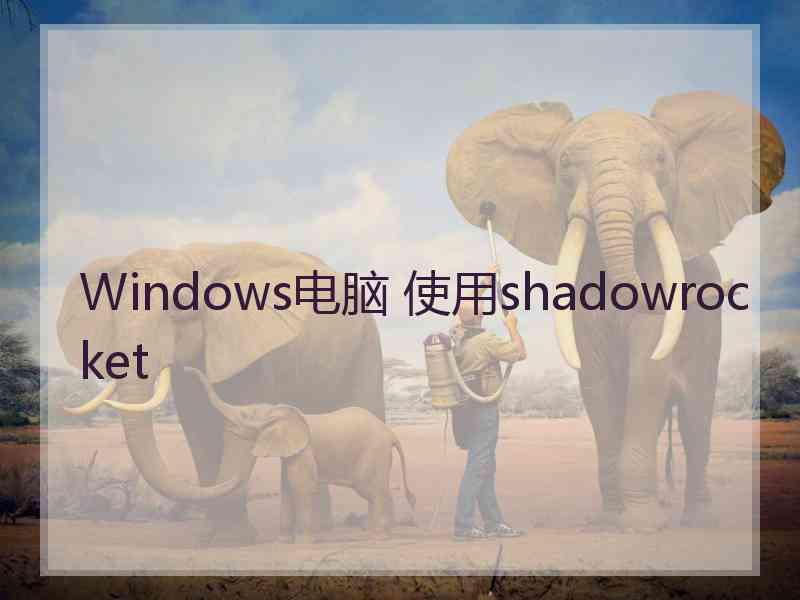 Windows电脑 使用shadowrocket