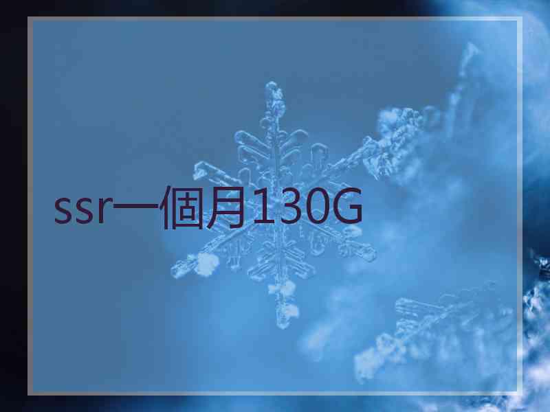 ssr一個月130G