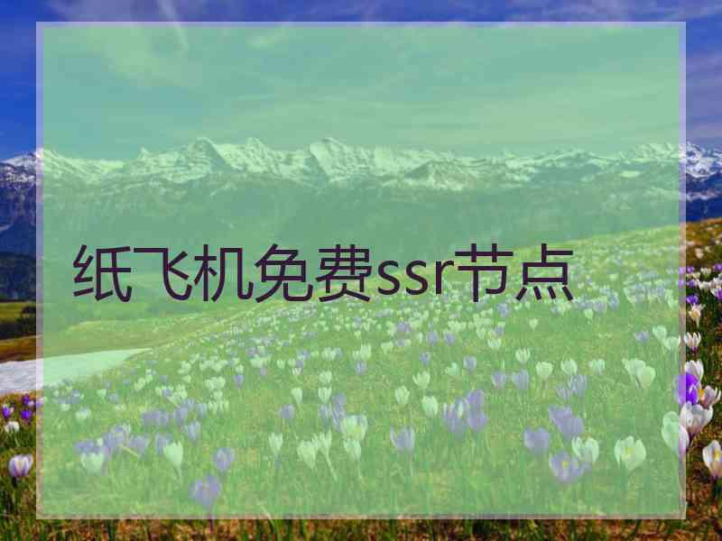 纸飞机免费ssr节点