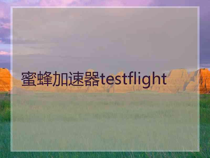 蜜蜂加速器testflight