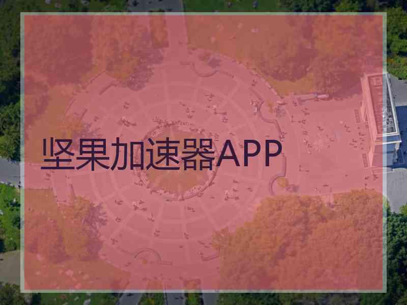 坚果加速器APP