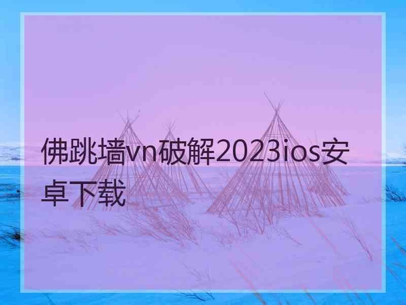 佛跳墙vn破解2023ios安卓下载