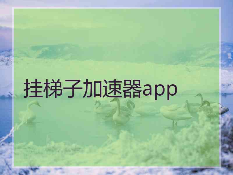 挂梯子加速器app