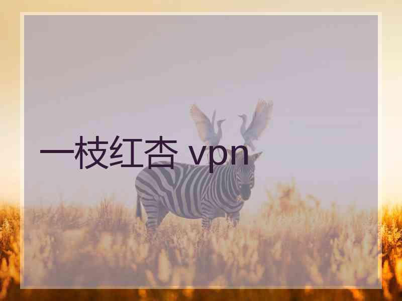 一枝红杏 vpn