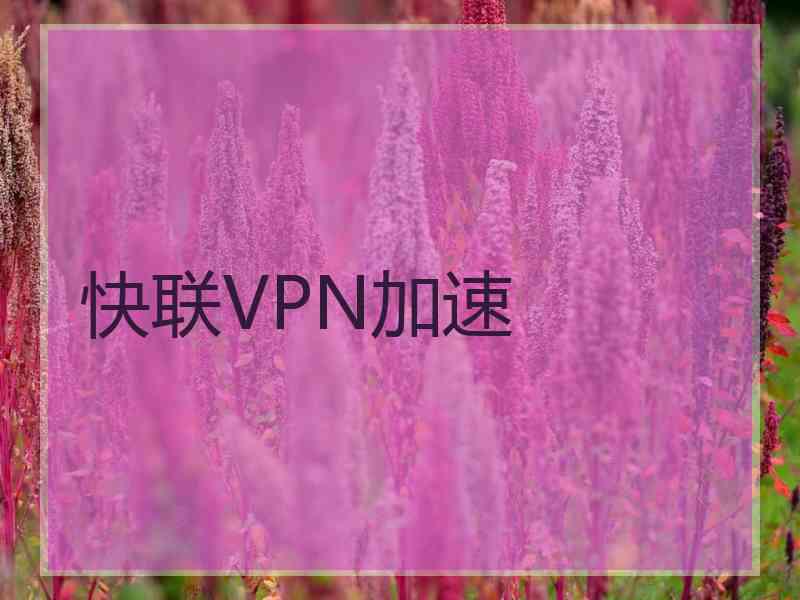 快联VPN加速