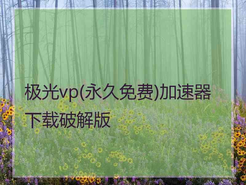 极光vp(永久免费)加速器下载破解版