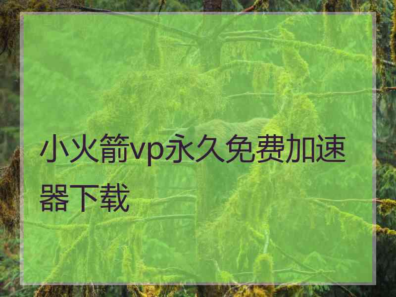 小火箭vp永久免费加速器下载