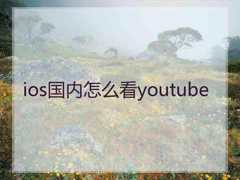 ios国内怎么看youtube