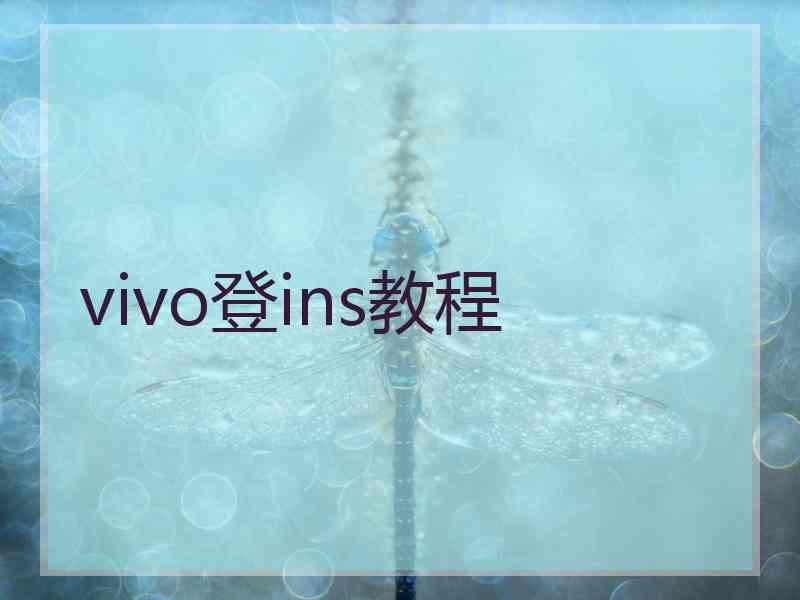 vivo登ins教程