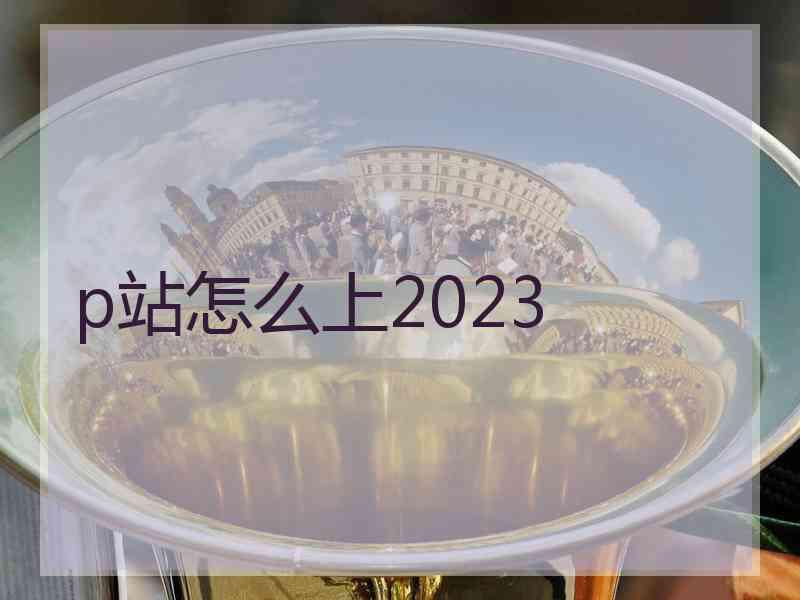 p站怎么上2023