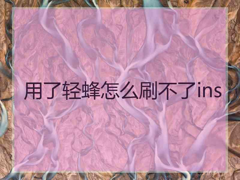 用了轻蜂怎么刷不了ins