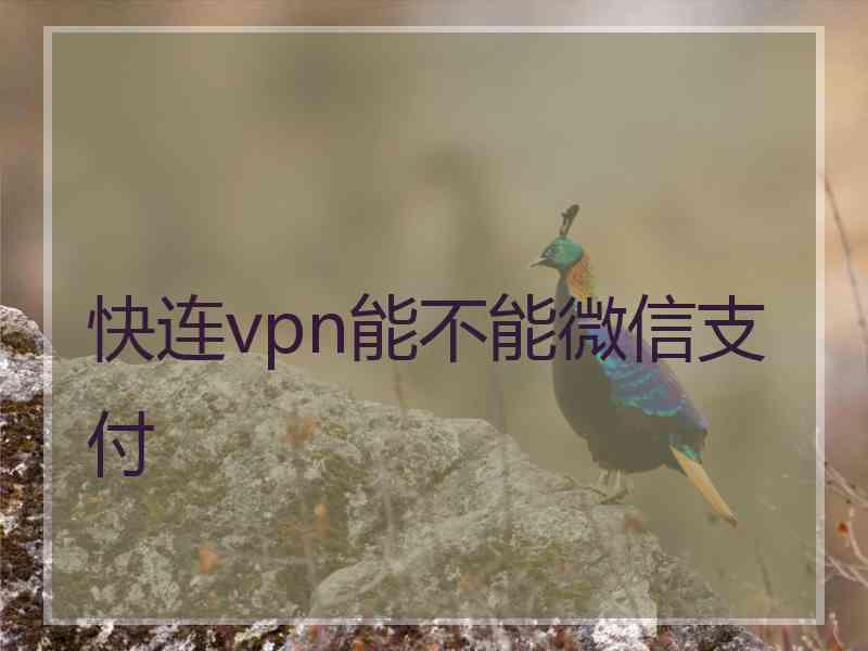 快连vpn能不能微信支付