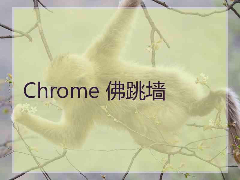 Chrome 佛跳墙