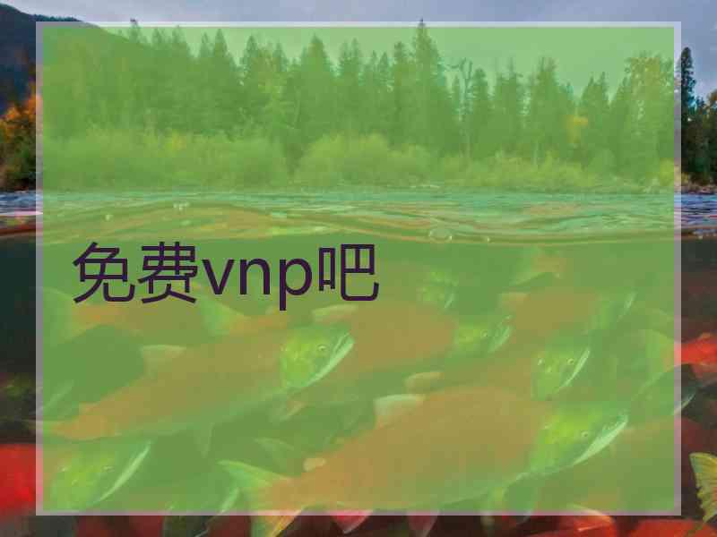 免费vnp吧