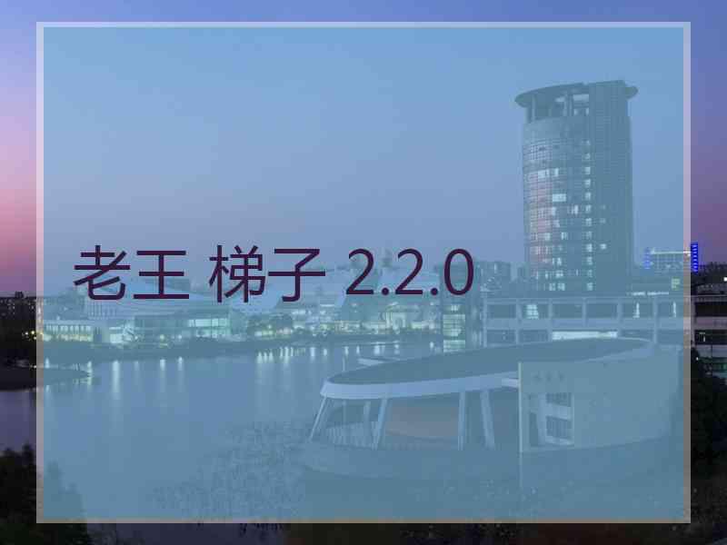 老王 梯子 2.2.0