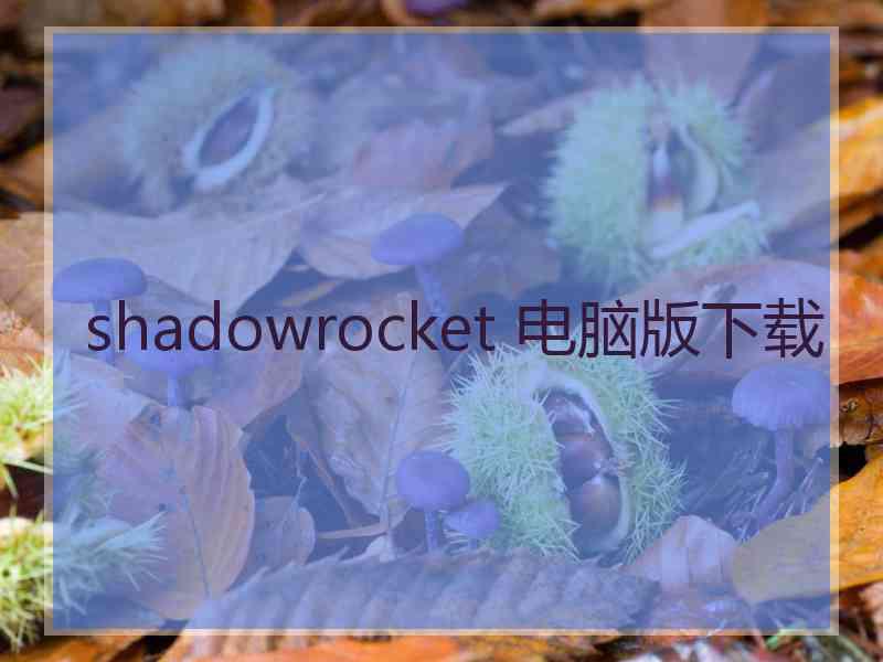 shadowrocket 电脑版下载