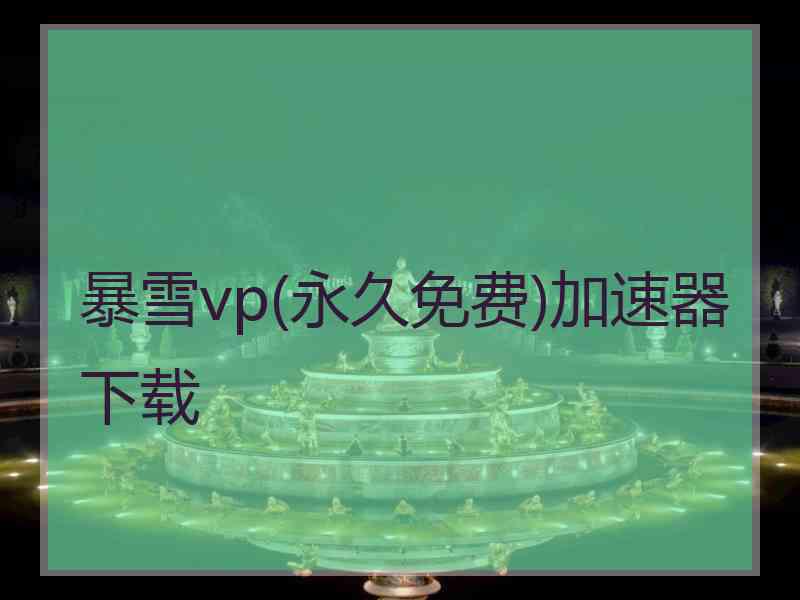 暴雪vp(永久免费)加速器下载