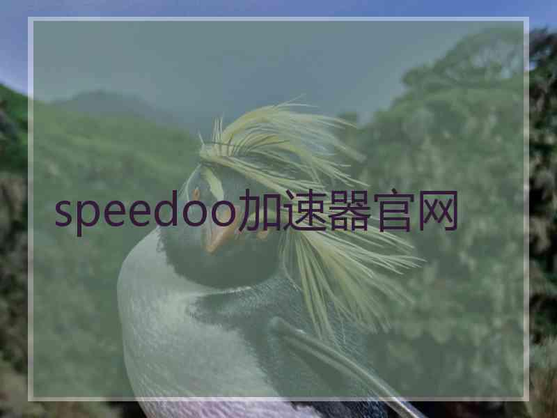 speedoo加速器官网