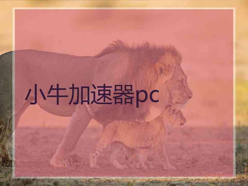 小牛加速器pc