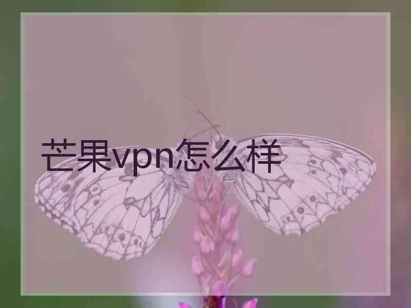 芒果vpn怎么样